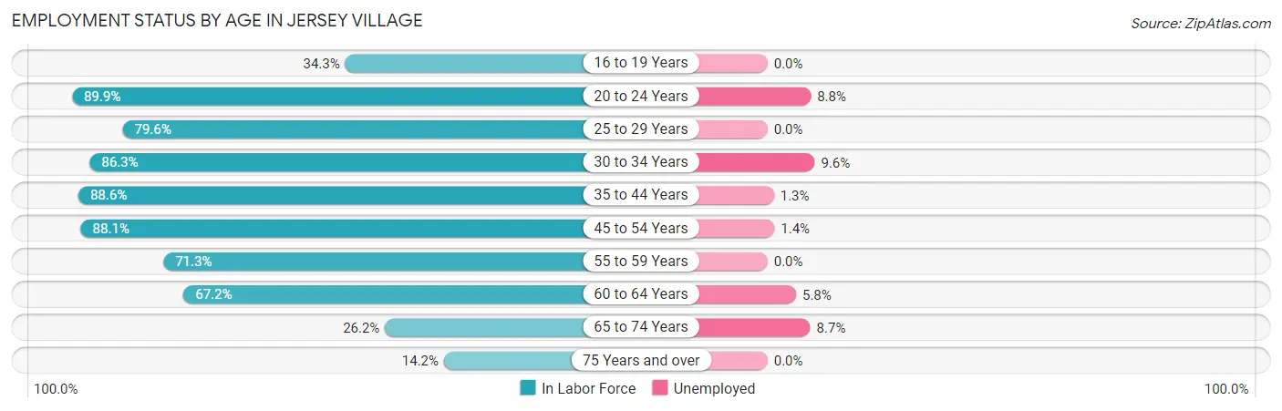 Employment Status by Age in Jersey Village