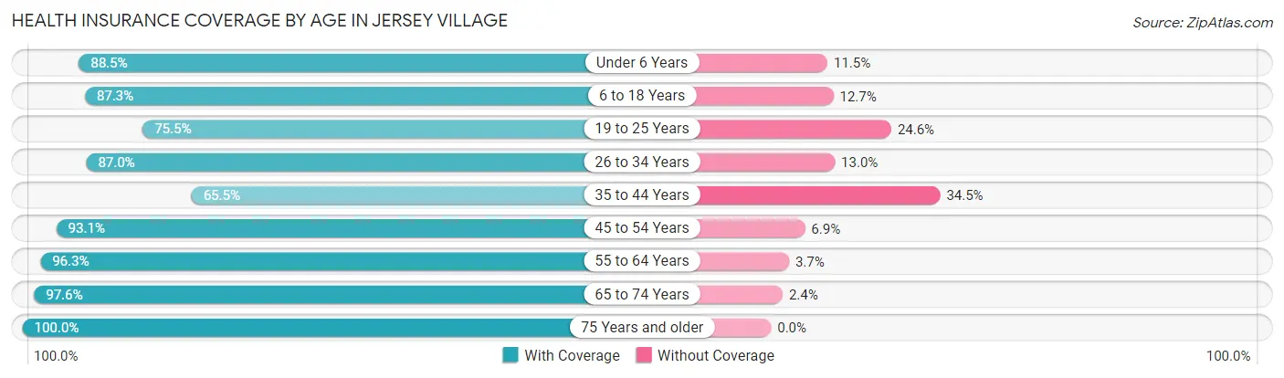 Health Insurance Coverage by Age in Jersey Village