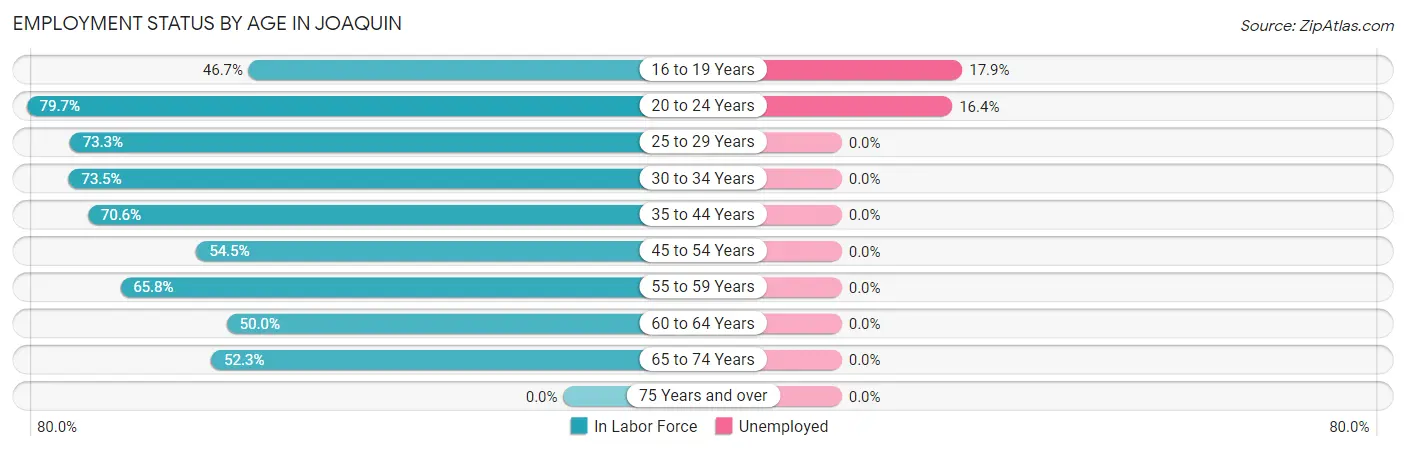 Employment Status by Age in Joaquin