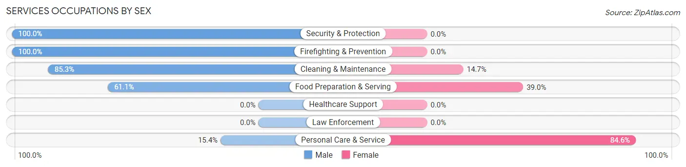 Services Occupations by Sex in Johnson City