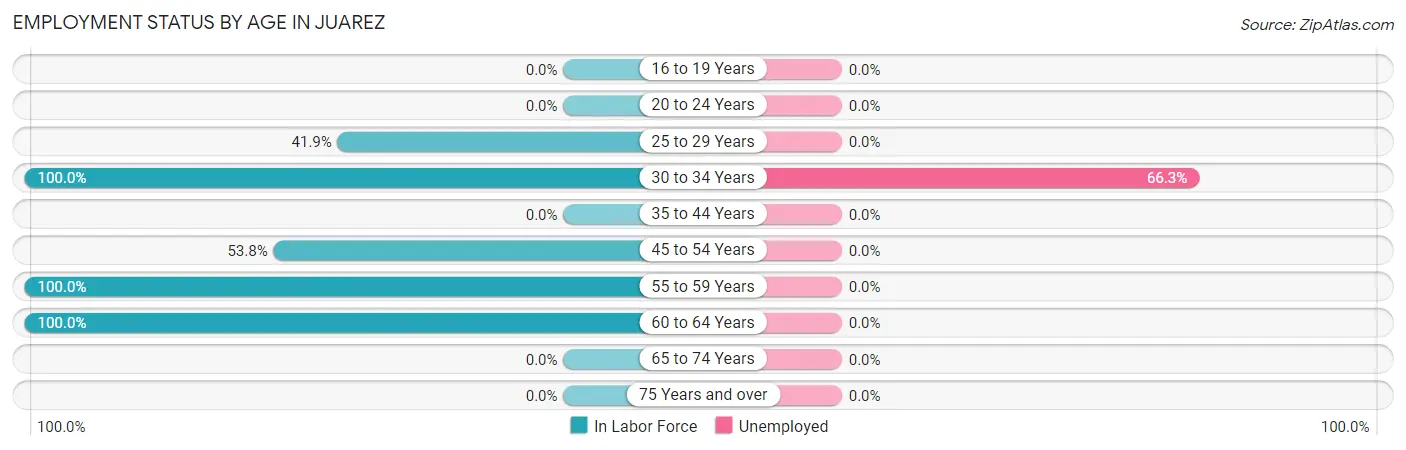Employment Status by Age in Juarez