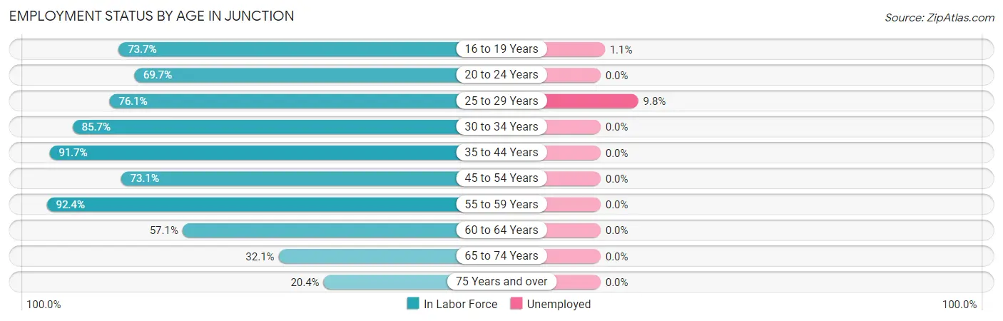 Employment Status by Age in Junction