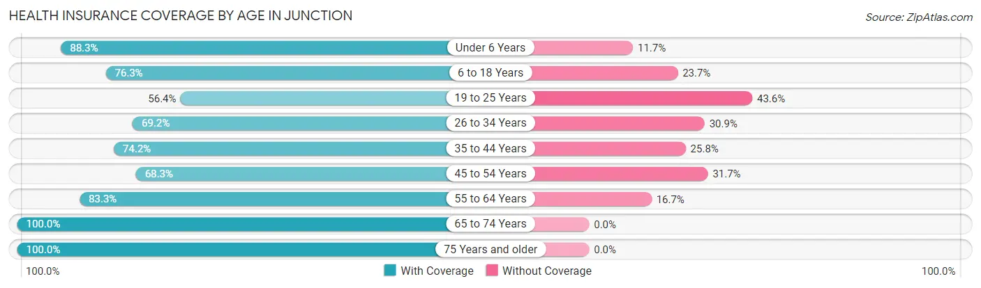 Health Insurance Coverage by Age in Junction