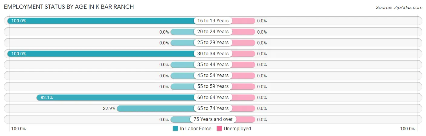Employment Status by Age in K Bar Ranch