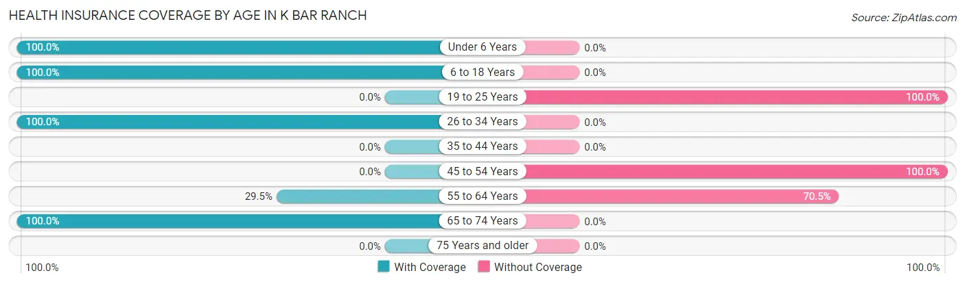 Health Insurance Coverage by Age in K Bar Ranch