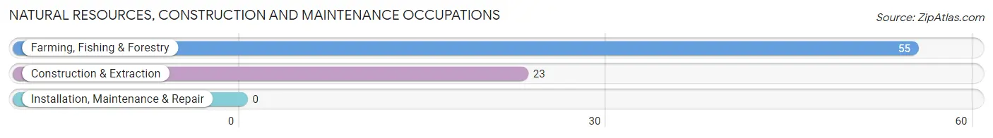 Natural Resources, Construction and Maintenance Occupations in K Bar Ranch