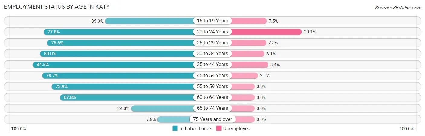 Employment Status by Age in Katy