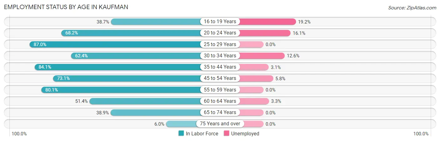 Employment Status by Age in Kaufman