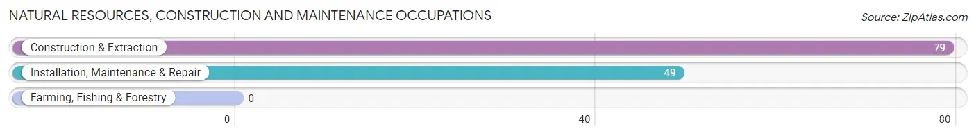 Natural Resources, Construction and Maintenance Occupations in Kemp