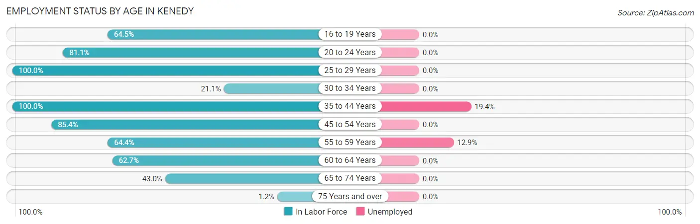 Employment Status by Age in Kenedy