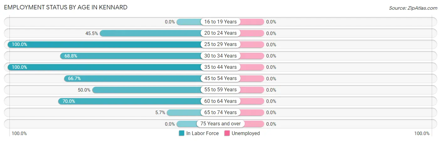 Employment Status by Age in Kennard