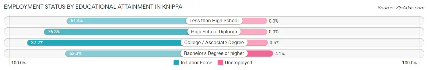 Employment Status by Educational Attainment in Knippa