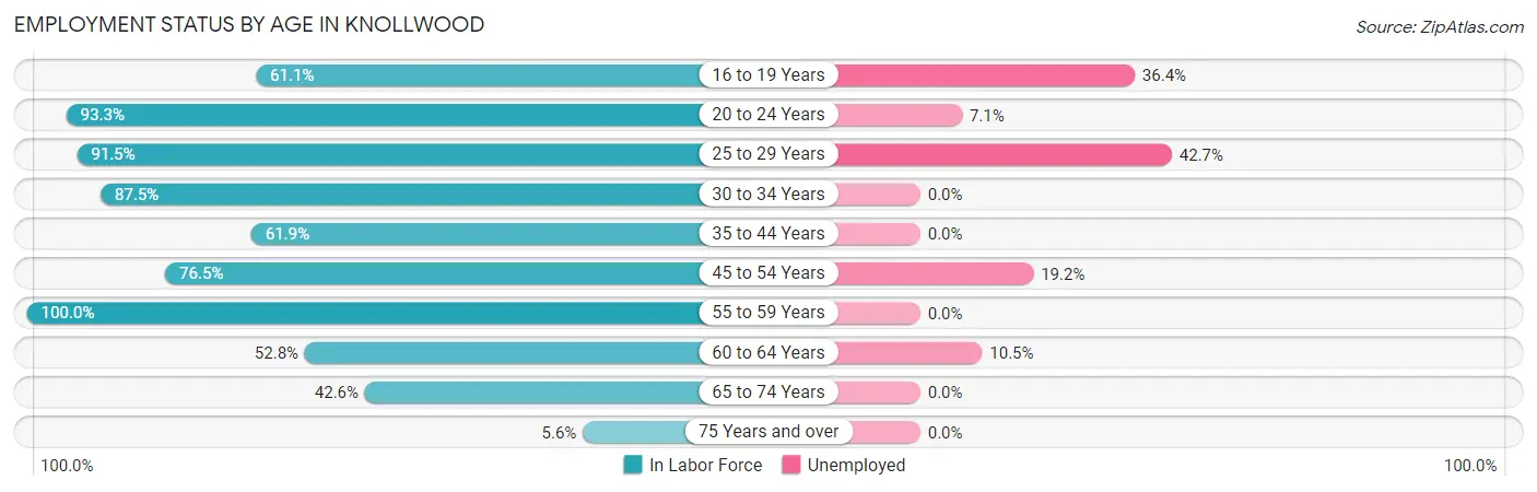 Employment Status by Age in Knollwood