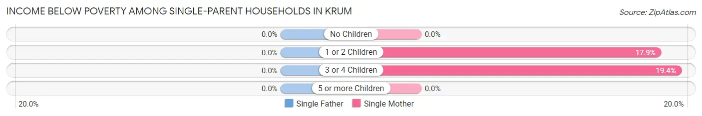 Income Below Poverty Among Single-Parent Households in Krum