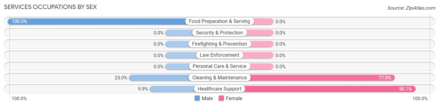 Services Occupations by Sex in La Blanca