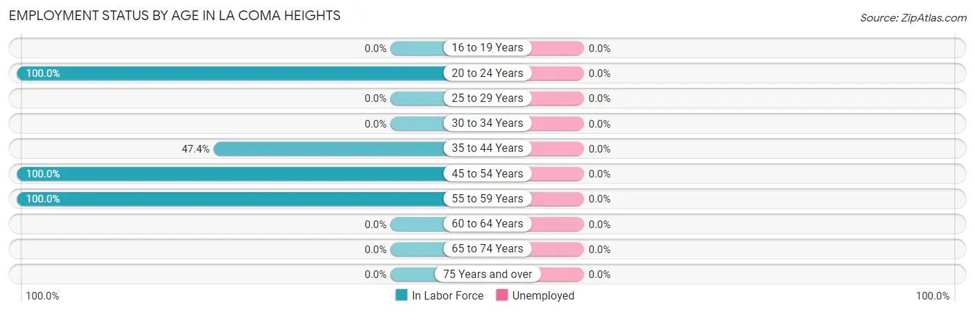 Employment Status by Age in La Coma Heights