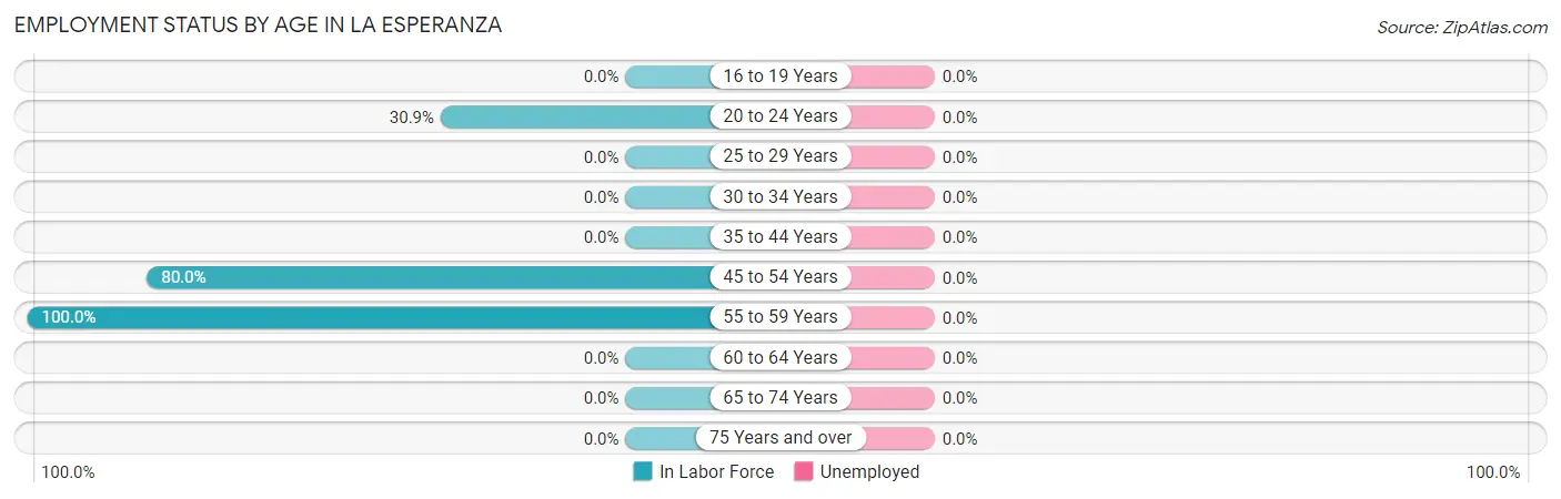 Employment Status by Age in La Esperanza