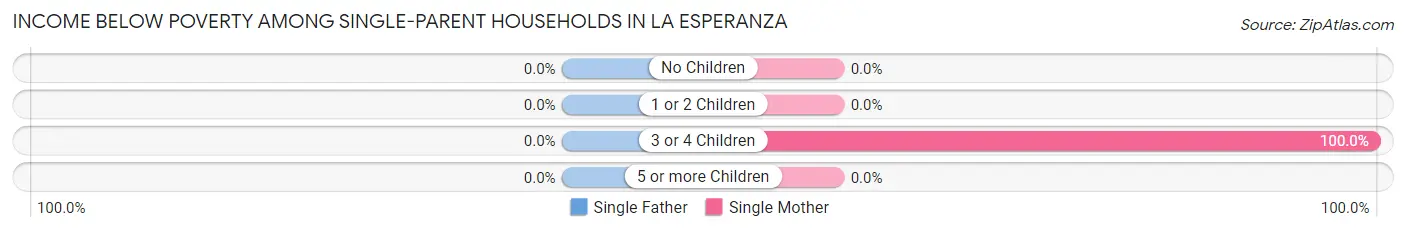 Income Below Poverty Among Single-Parent Households in La Esperanza
