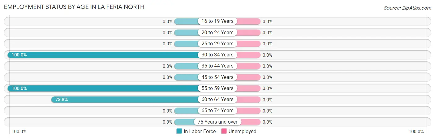 Employment Status by Age in La Feria North