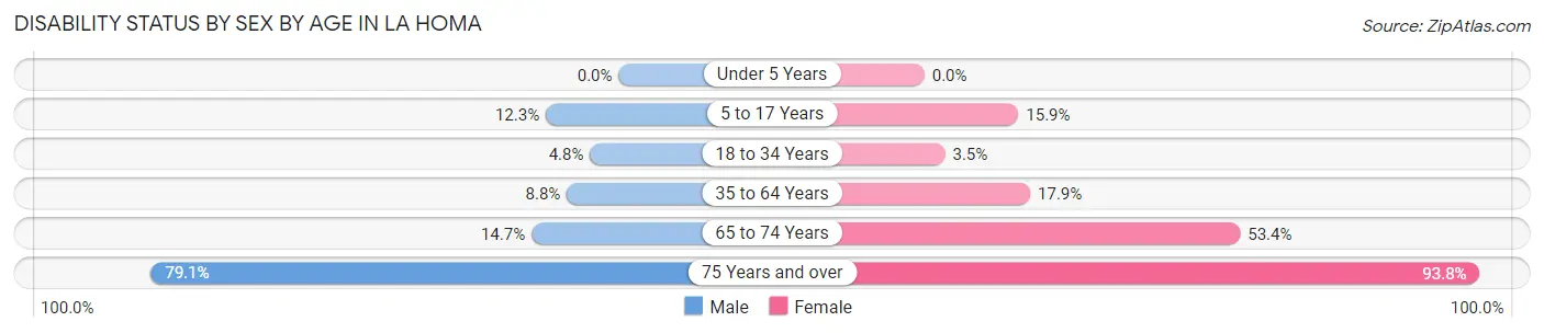Disability Status by Sex by Age in La Homa