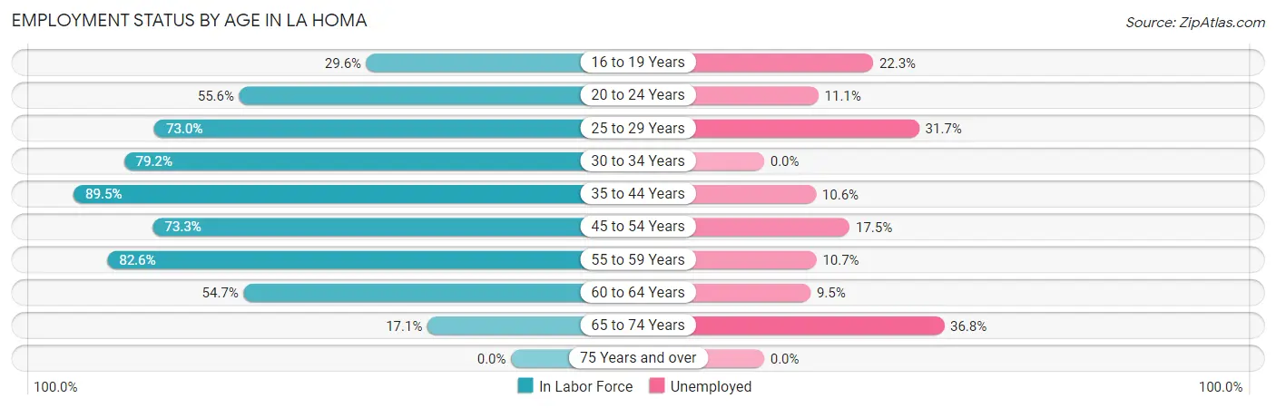 Employment Status by Age in La Homa