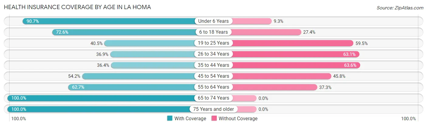 Health Insurance Coverage by Age in La Homa