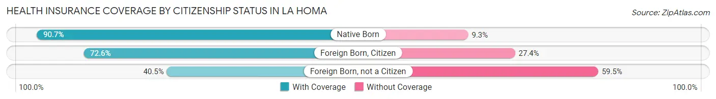 Health Insurance Coverage by Citizenship Status in La Homa