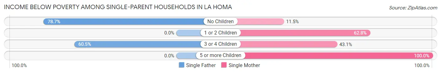 Income Below Poverty Among Single-Parent Households in La Homa