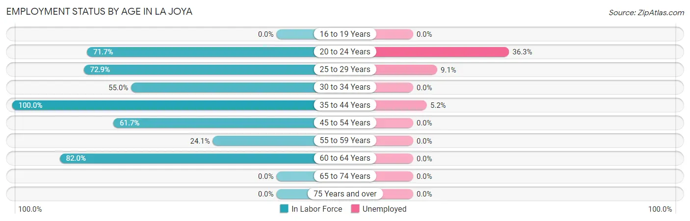 Employment Status by Age in La Joya