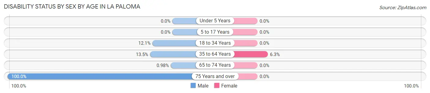 Disability Status by Sex by Age in La Paloma