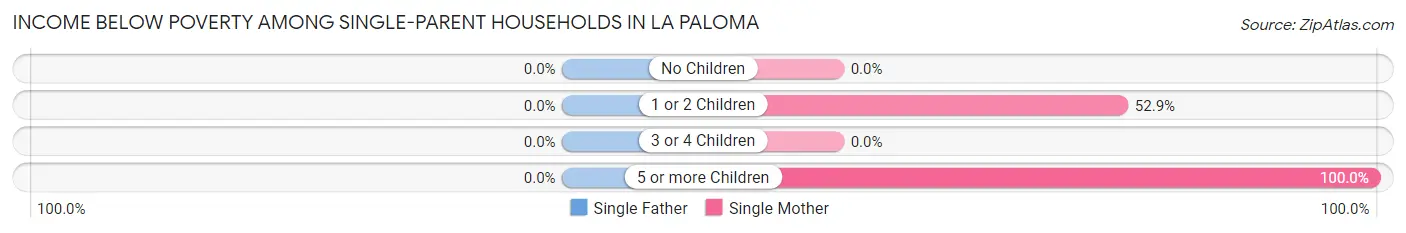Income Below Poverty Among Single-Parent Households in La Paloma