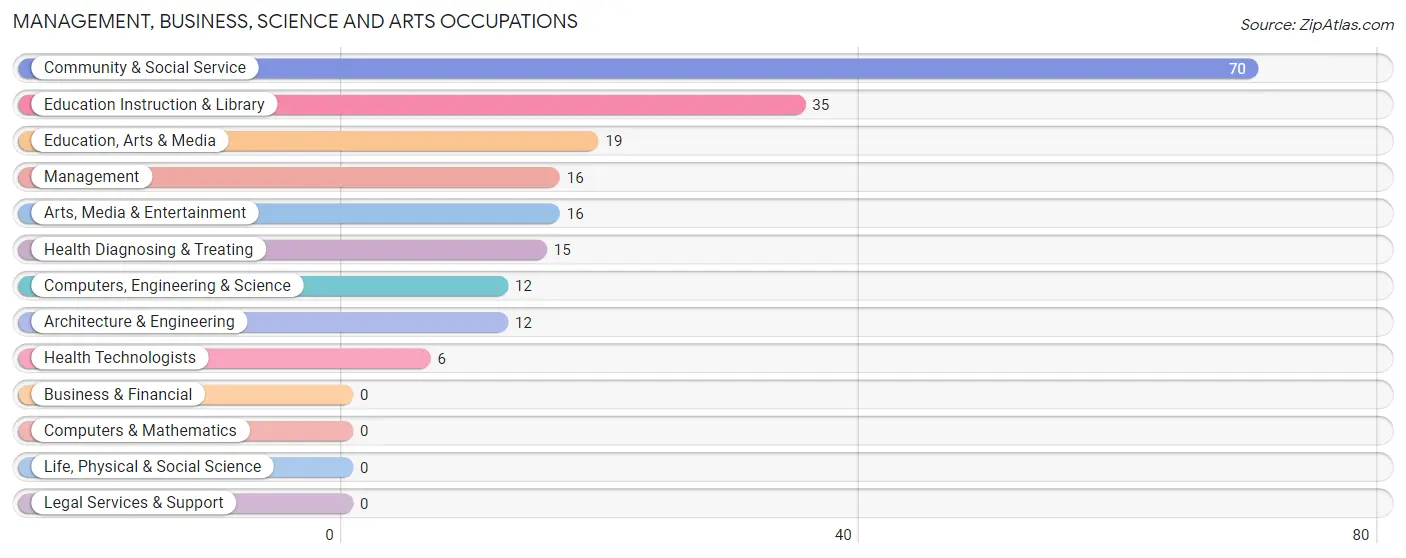 Management, Business, Science and Arts Occupations in La Pryor