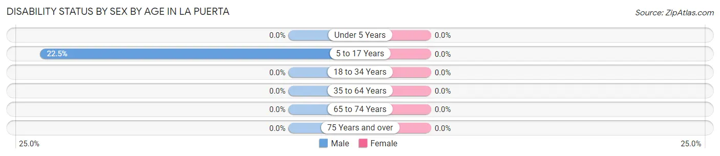 Disability Status by Sex by Age in La Puerta