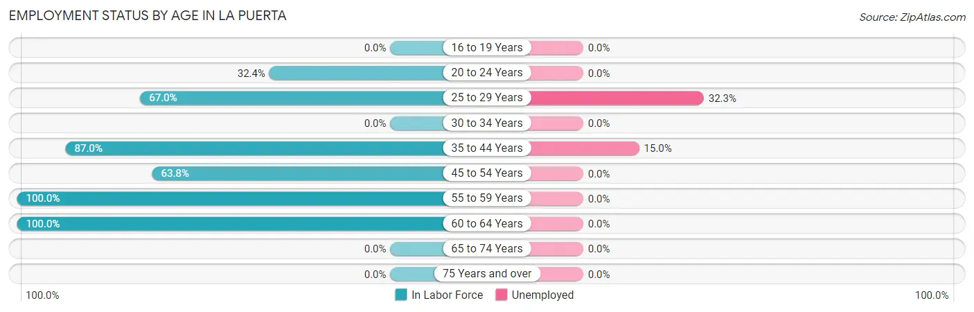 Employment Status by Age in La Puerta