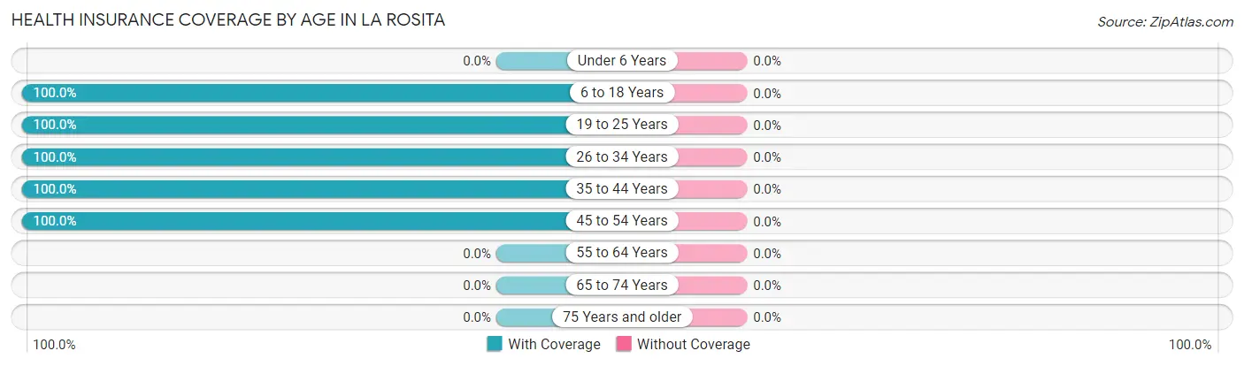 Health Insurance Coverage by Age in La Rosita