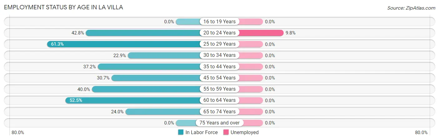 Employment Status by Age in La Villa