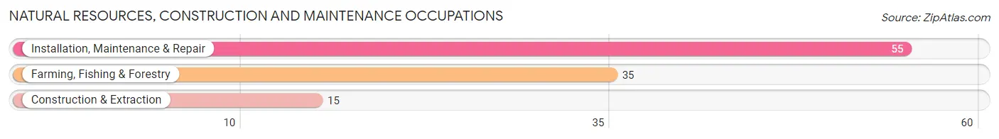 Natural Resources, Construction and Maintenance Occupations in Lackland AFB