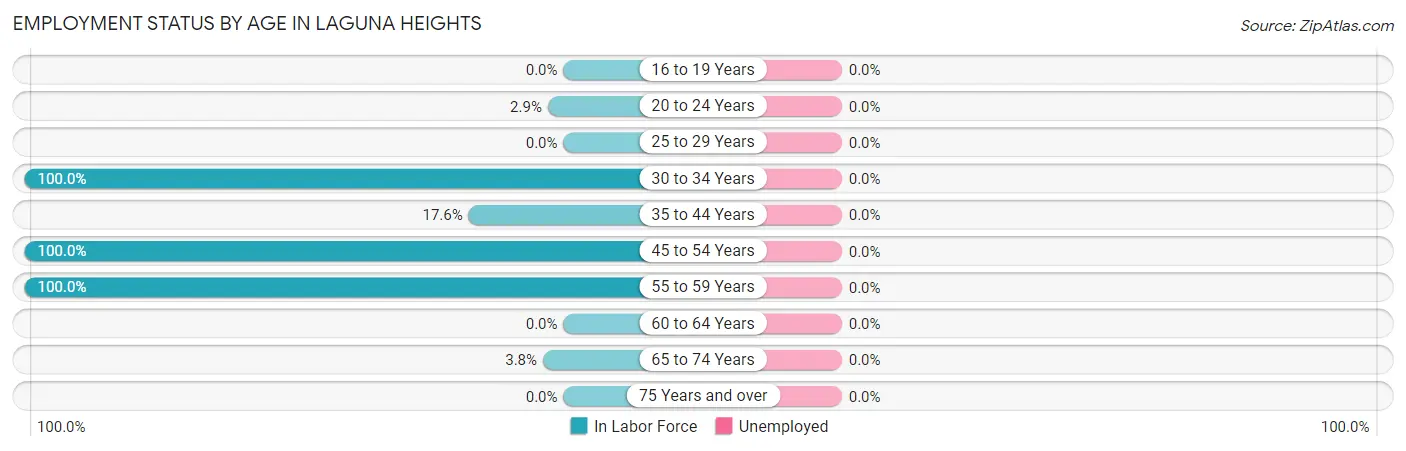 Employment Status by Age in Laguna Heights