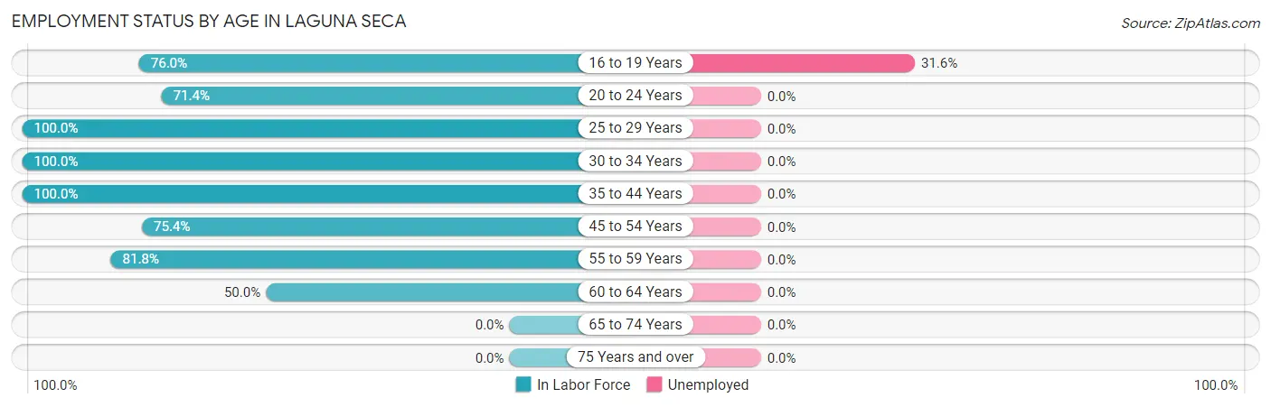 Employment Status by Age in Laguna Seca