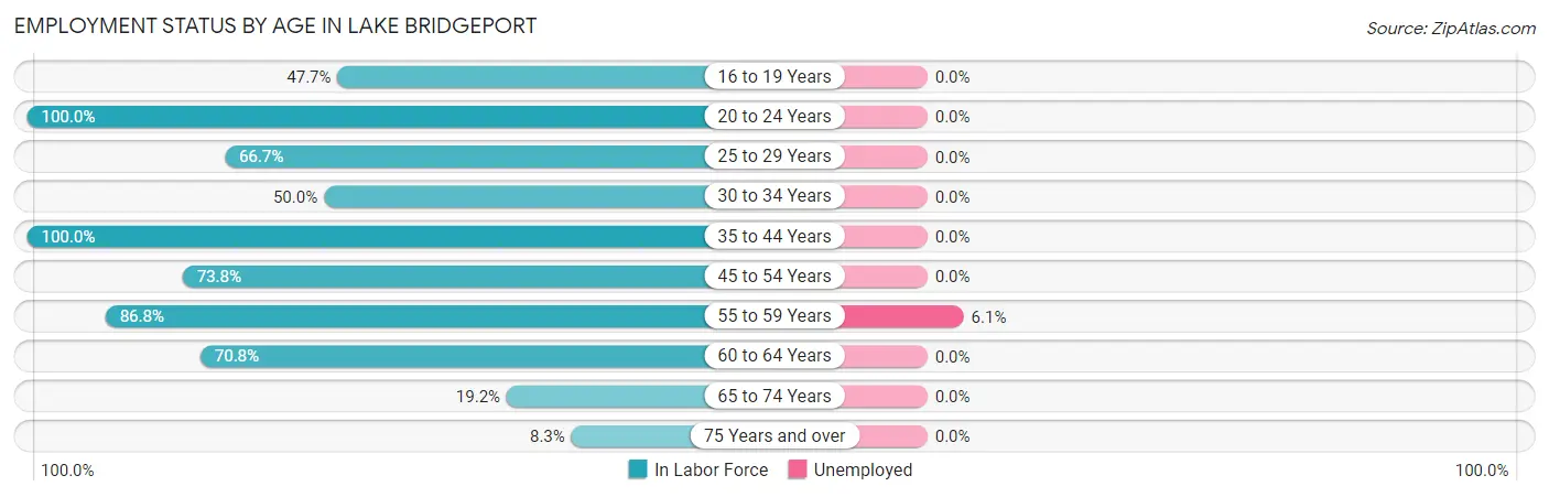 Employment Status by Age in Lake Bridgeport