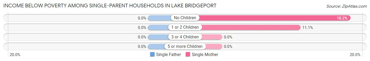 Income Below Poverty Among Single-Parent Households in Lake Bridgeport