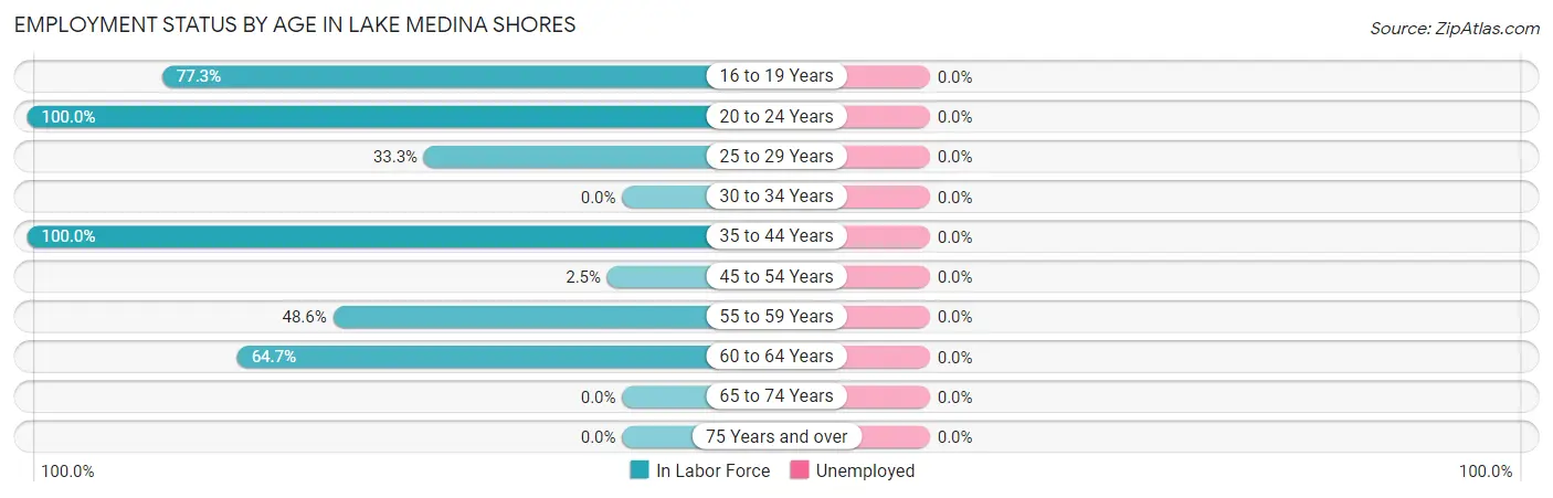 Employment Status by Age in Lake Medina Shores