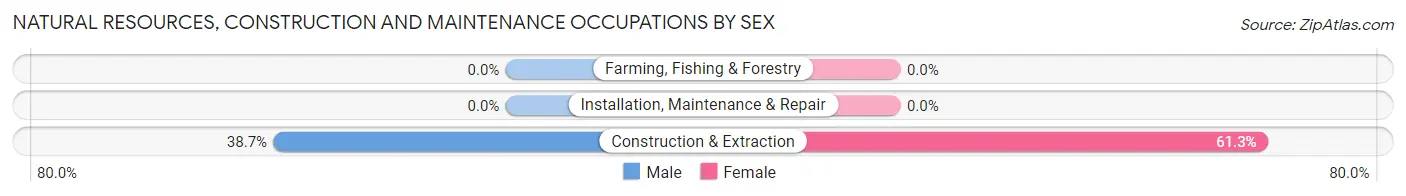 Natural Resources, Construction and Maintenance Occupations by Sex in Lake Medina Shores