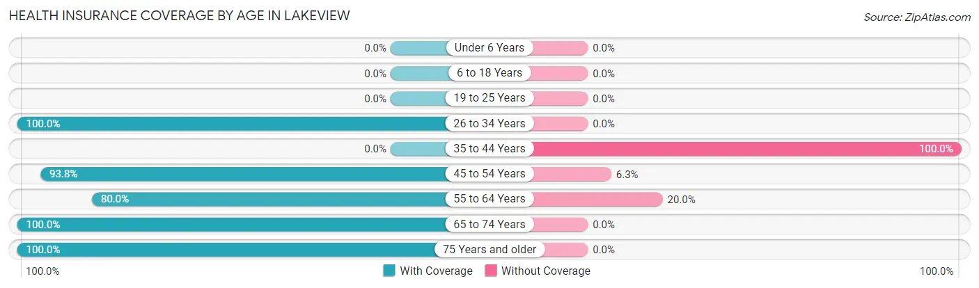 Health Insurance Coverage by Age in Lakeview