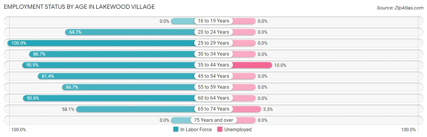 Employment Status by Age in Lakewood Village