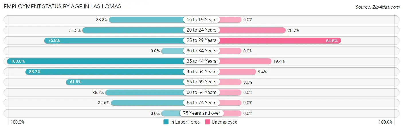 Employment Status by Age in Las Lomas