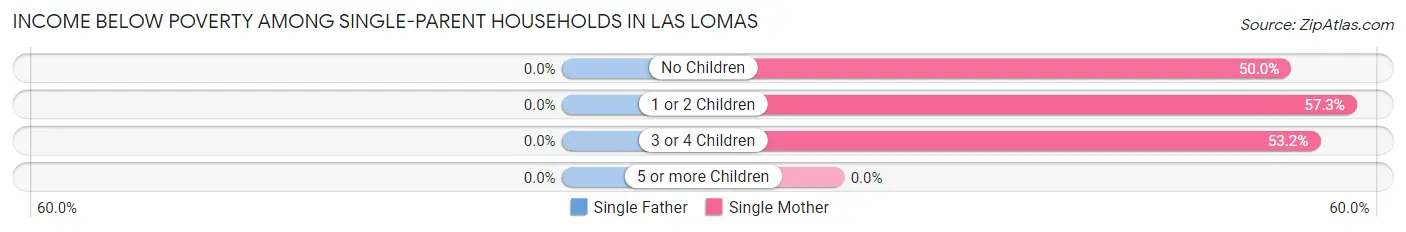 Income Below Poverty Among Single-Parent Households in Las Lomas
