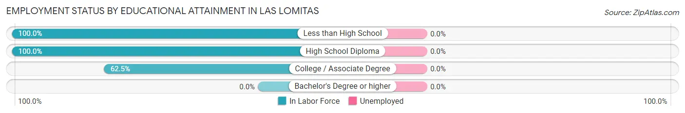 Employment Status by Educational Attainment in Las Lomitas