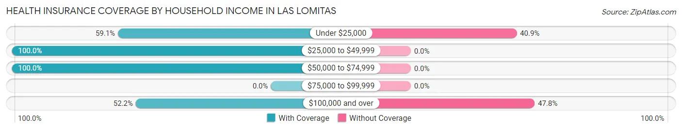 Health Insurance Coverage by Household Income in Las Lomitas