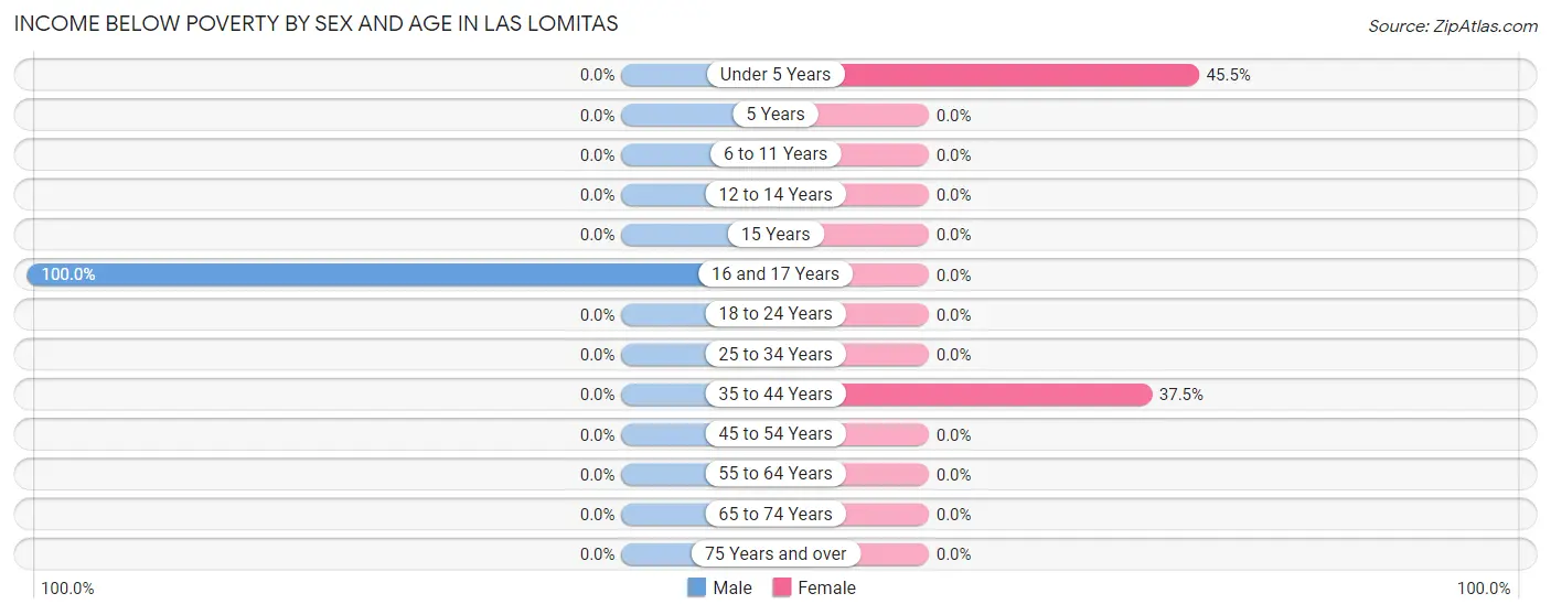 Income Below Poverty by Sex and Age in Las Lomitas